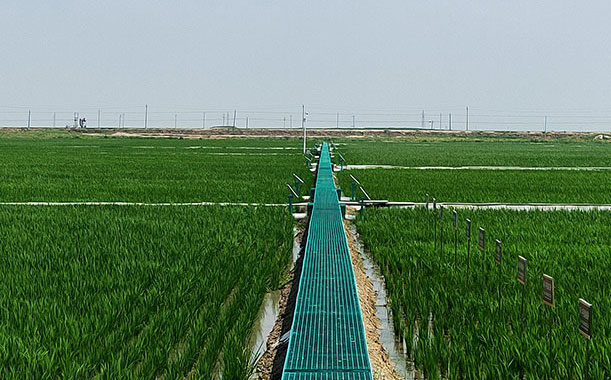 結(jié)構(gòu)膠可以受多少度高溫